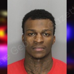 BackenDrae-DEAR BRICK(I WISH FREESTYLE)