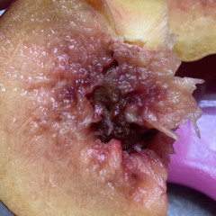 Cuando era pequeña dibujaba mariposas- (Isabela sudada) ft. Abiu