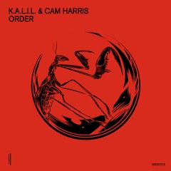K.A.L.I.L. & Cam Harris - Order (Rocko Garoni Remix)