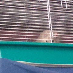 2015 hiphop/triphop beat mix