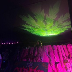 Pachena Bay Silent Disco