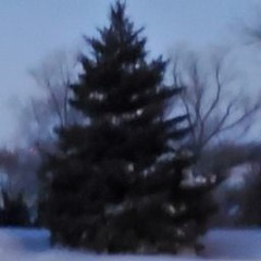 WISPPIX - The Snowfall