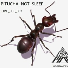 Loko Maq_Pitucha_Not_Sleep_Live_Set_003