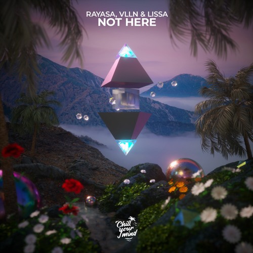 Rayasa, VLLN & LissA - Not Here