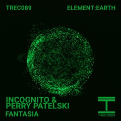 Incognito & Perry Patelski - Fantasia