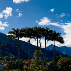 I Flew Back to Who I Was