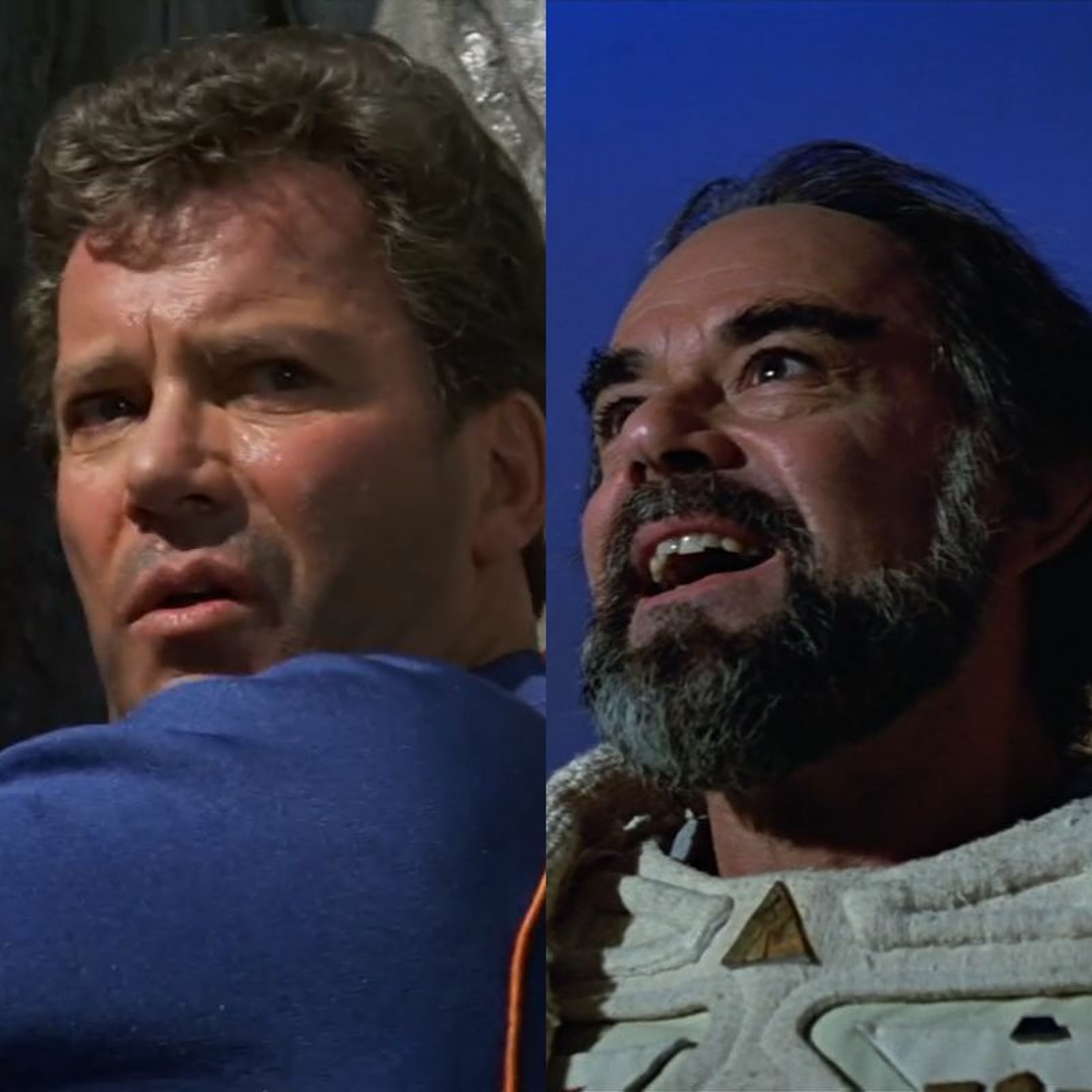 A Star to Steer Her By