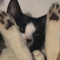 Found This in Old Files