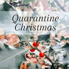 Quarantine Christmas