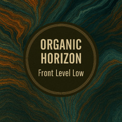 Saudades Que Me Guia - Front Level Low