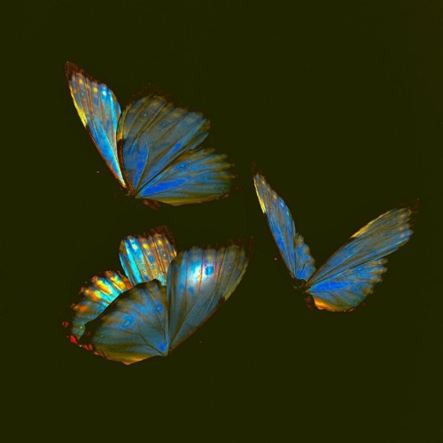 omG (prod. pr1m0prod)