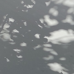 shadows