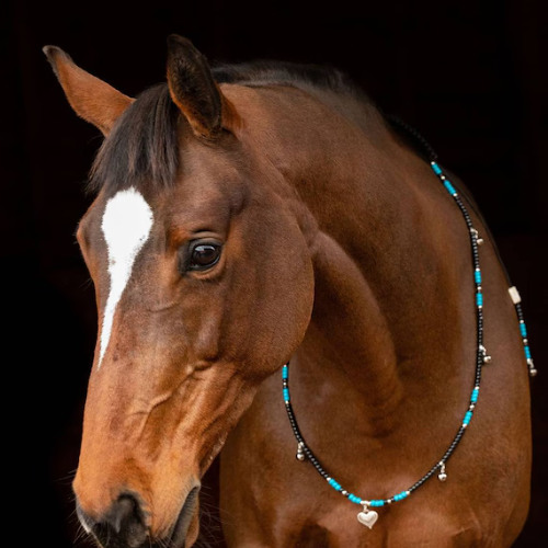 Perles thermocollantes - Cheval