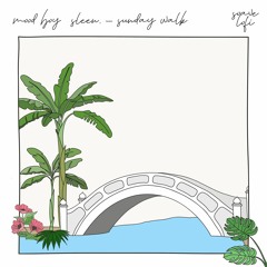 MOOD Boy & Sleen. - SUNDAY WALK