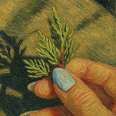 وُلِدْتُ بِمِيلادِكِ