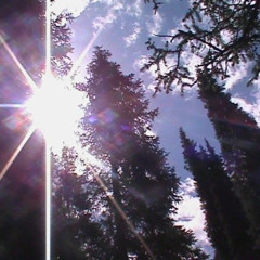 foreigns prod. xeto , nope333