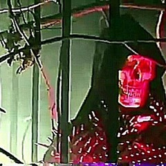 red prod. rckts