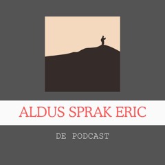 Aldus sprak Eric #2 Wat proberen jouw dromen je eigenlijk te vertellen?