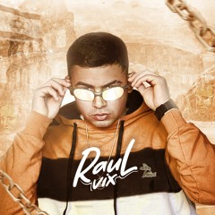 Mc Raul Vix - EFEITO FENOMENAL ( DJ ARTHUR DE AFC  feat - MC VITÃO 027 E MC FP DA RV )