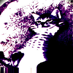 I d0n"t g1ve a FXCK :#