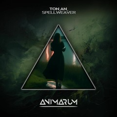 TON_AN_  - Spellweaver