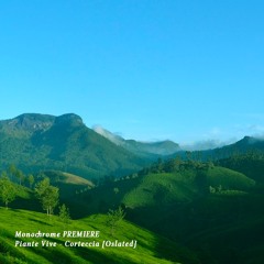 𝐏𝐑𝐄𝐌𝐈𝐄𝐑𝐄 : Piante Vive - Corteccia [Oslated]