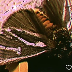 I think I had too much - Dark Mothy Minimal Psy Tech with a sprinkle of love and lucy