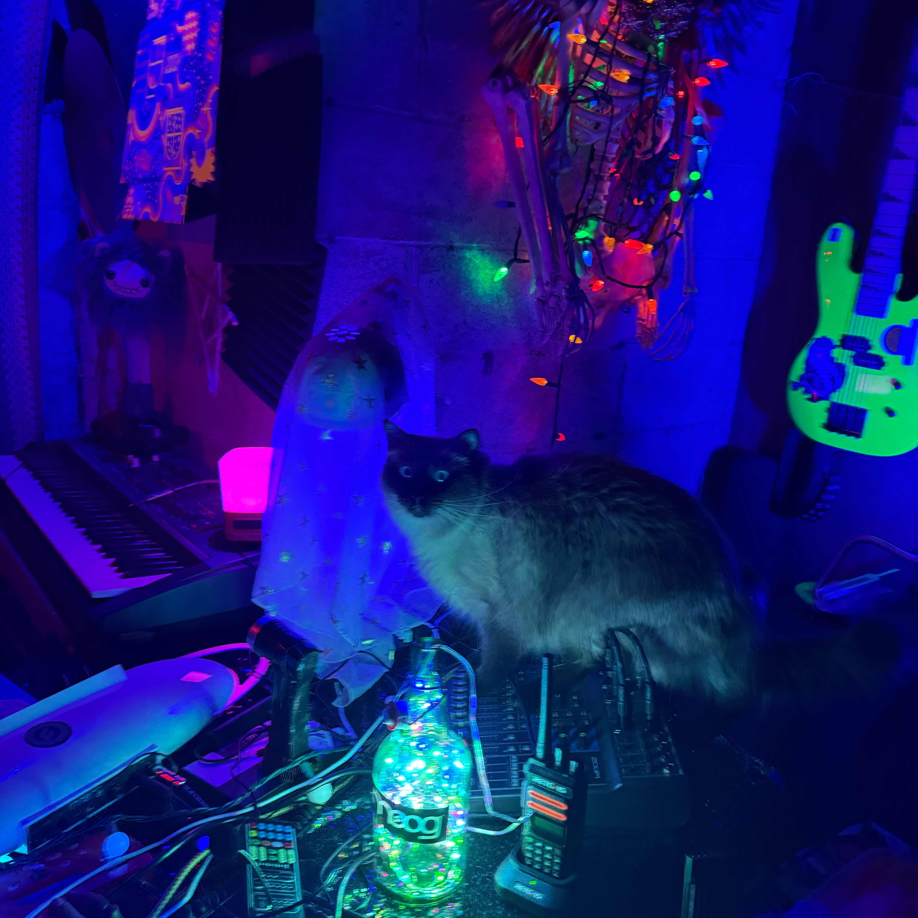 be not afraid, it only wants your blood