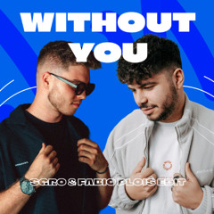 David Guetta & Usher - Without You (SGRO & Fabio Plois Edit) *PITCHED*
