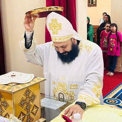 Reconciliation prayer - Fr Mina Samy - أبونا مينا سامي
