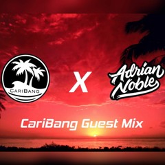 Moombahton Mix 2020 | CariBang Guest Mix | The Best Of Moombahton & Afro 2020