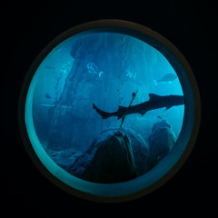 Ana Anastasov - Abyssus Boss Demo