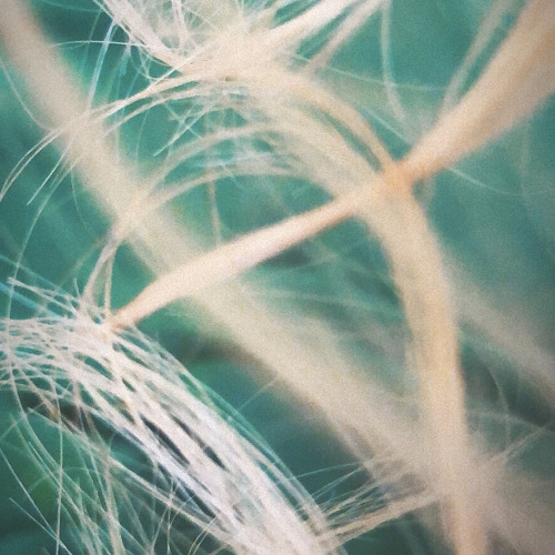 @Kinda green