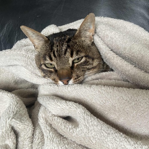 Under The W(e)at(h)er