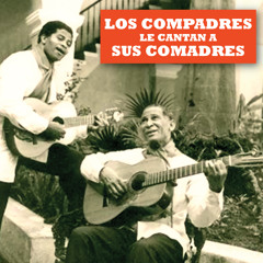 Llegaron los Compadres