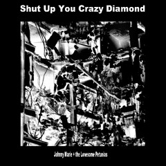 Shut Up You Crazy Diamond