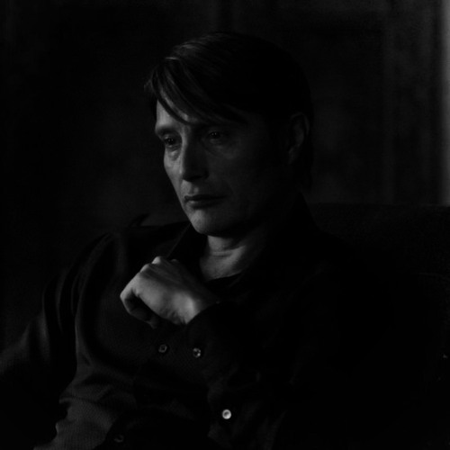 Hannibal x Calm Nights