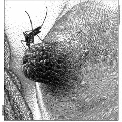 Sunday Morning .06.03 after party @secret location