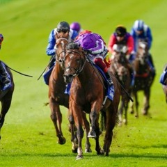On The Hunt- 2022 Fillies' Mile & Cesarewitch Preview