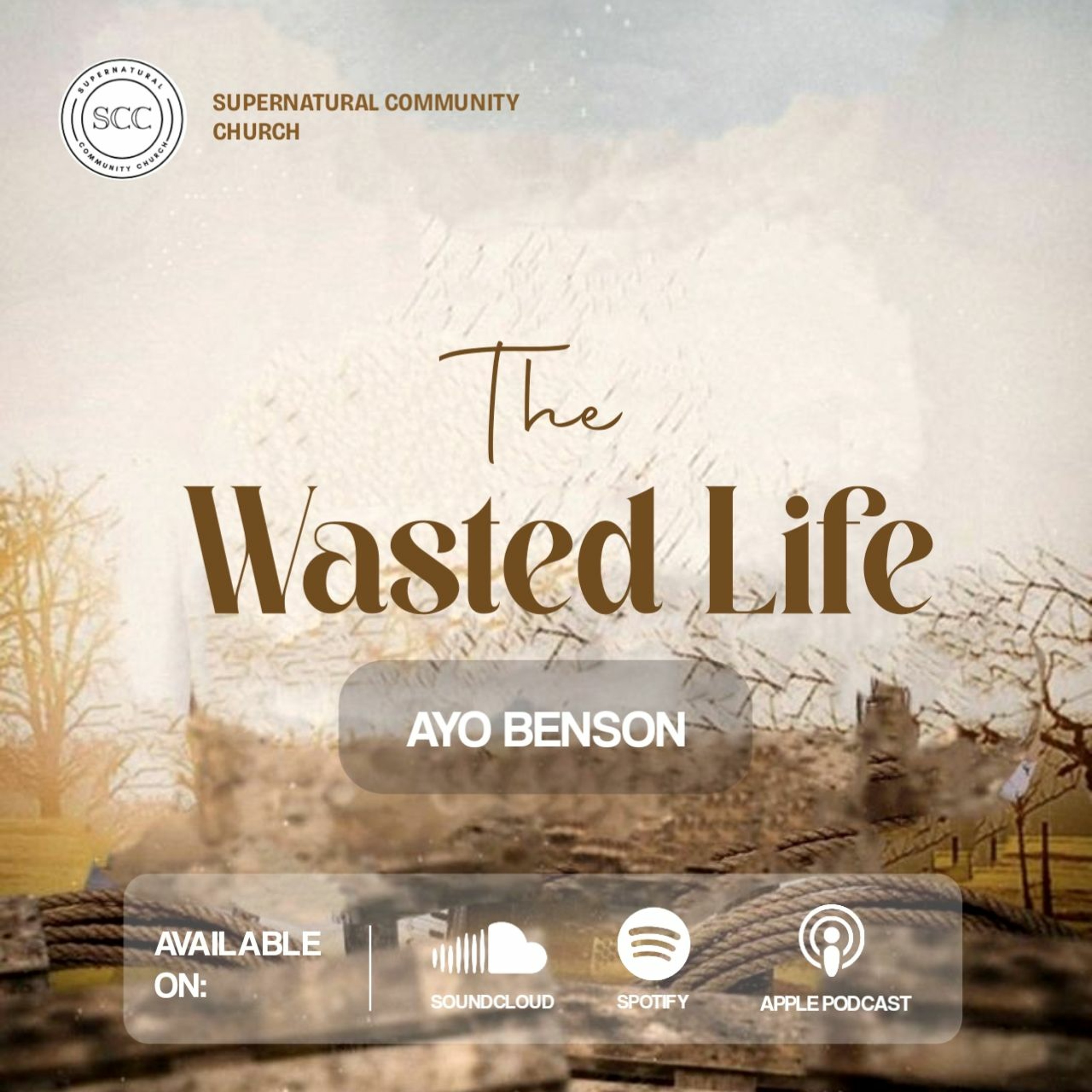 The Wasted Life