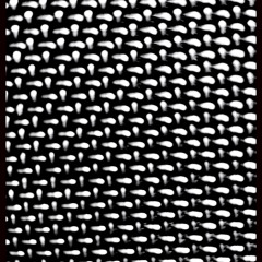 bouncing down to the beach house