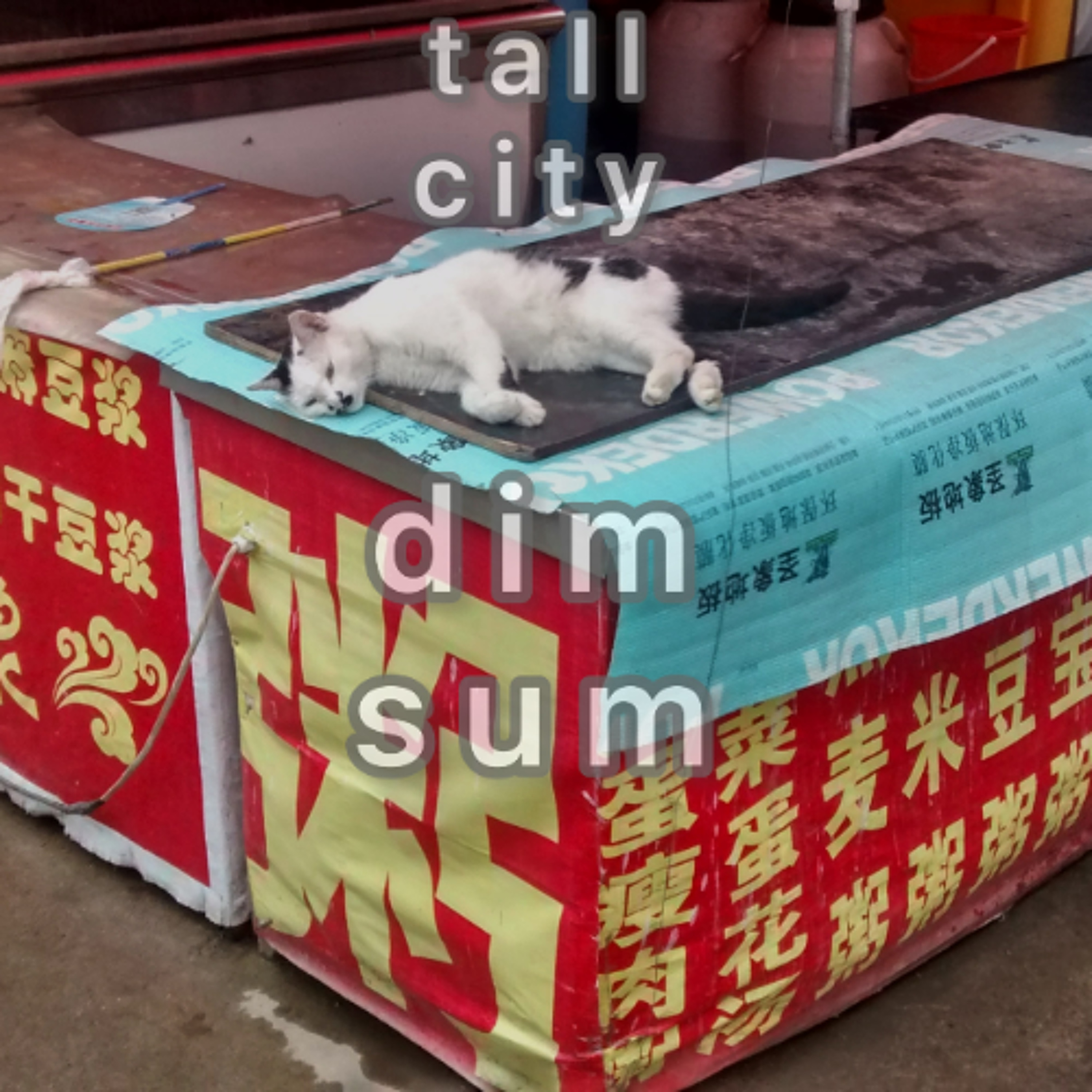 dim sum episode artwork