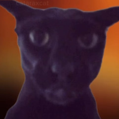 you were always a violent creature, but i never blaimed you for that x come - Adrianne Lenker