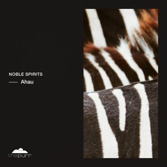 Noble Spirits - Ahau (Original Mix)