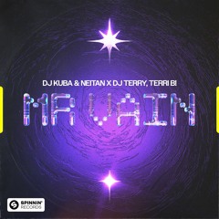 DJ Kuba & Neitan x DJ Terry, Terri B! - Mr. Vain