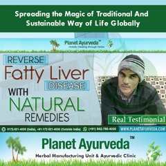 How to Reverse Fatty Liver Disease in Ayurveda - Real Testimonial