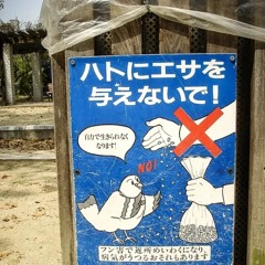 Karma 3 ShitTalk DGR ELGE PROD.SNOOKILL