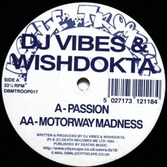 DJ Vibes & Wishdokta - Passion - Rogue Trooper (1995)