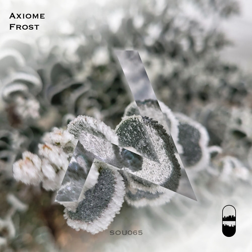 Axiome - Frost