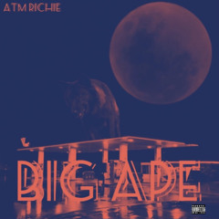 ATM Richie BIG APE ( Official Audio )